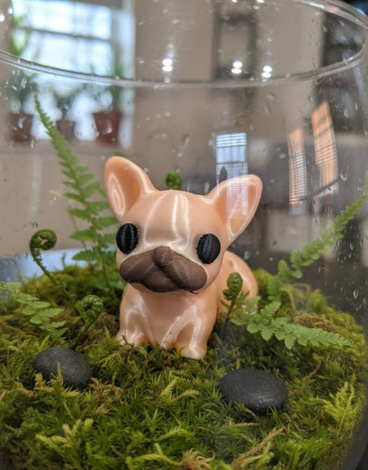 Gummy - The French Bulldog